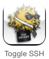 Toggle SSH